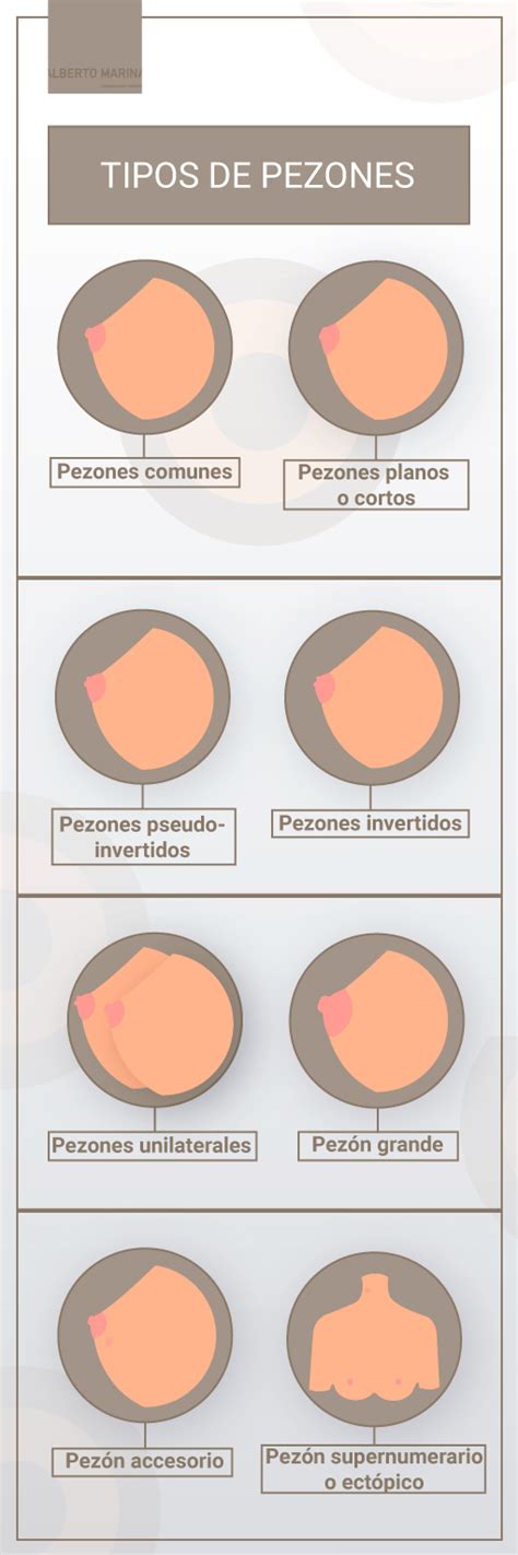 pezones grandes|8 tipos de pezones que debes conocer .